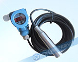 ZYK24數(shù)顯投入式水位計